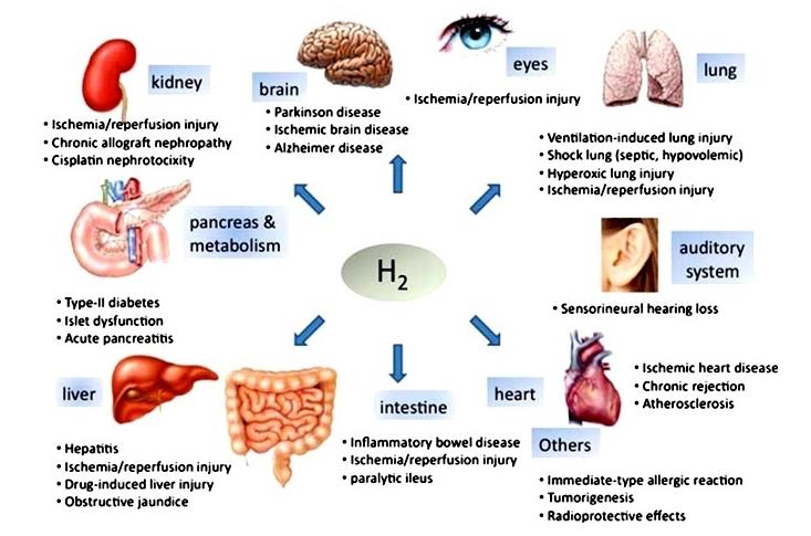 Rich Hydrogen Water 2